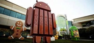 130904 kitkatt.hlarge