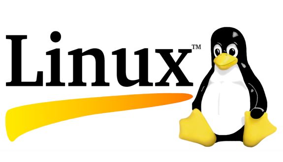 Çin Linux İçin Windowsu Terk Etmeye Hazırlanıyor