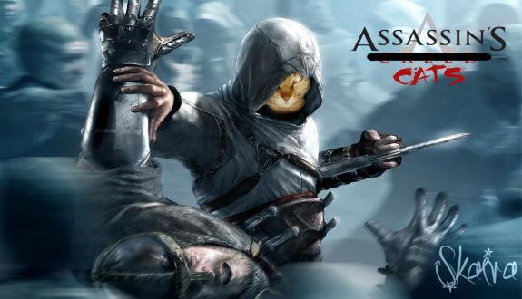 assassin s cats by skairakaze d4yzb52