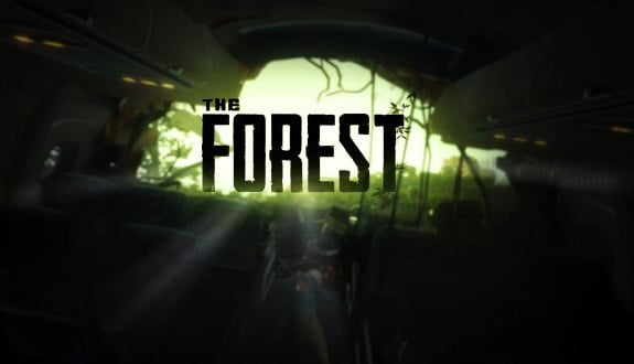 The Forest 575