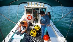 Su Altında WiFi Kullanılabilir mi? 21 sualtı wifi 2