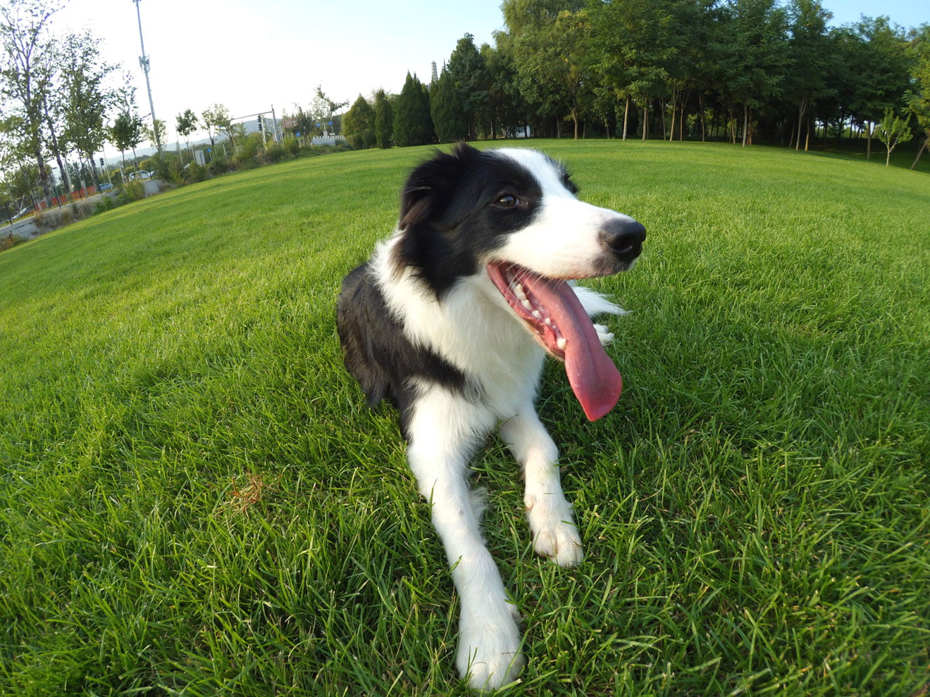 Check Out Xiaomi GoPro Style Camera s First Image and Video Samples 474865 2