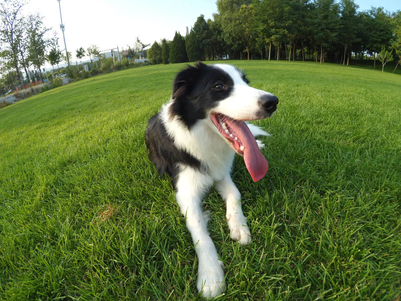 Xiaomi Yi Kamera Test Edildi 1 Check Out Xiaomi GoPro Style Camera s First Image and Video Samples 474865 2