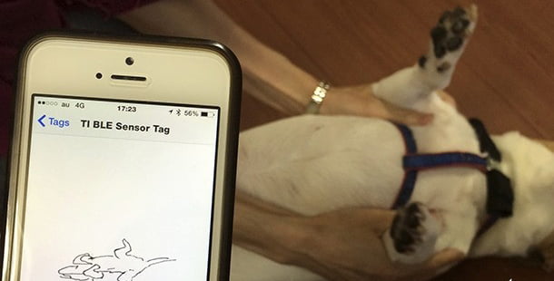 anicall Shiraseru Am