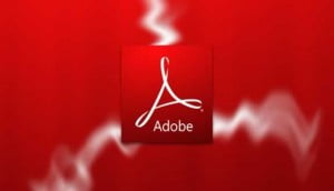 Adobe Flash isyani buyuyor