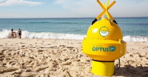 clever buoy optus yes cannes