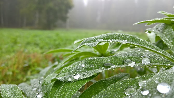 lumia 950 xl kamera örneği