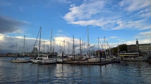 lumia 950 xl fotoğraf