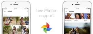 Google Fotoğraflar Live Photos desteği aldı! 14 Google Fotoğraflar Live Photos