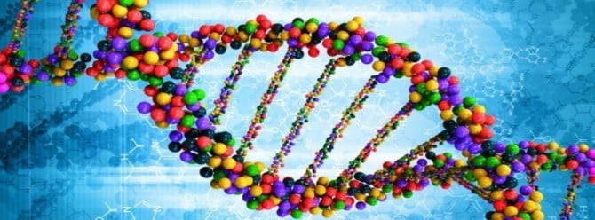 DNA image