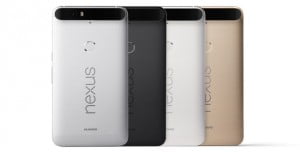 nexus