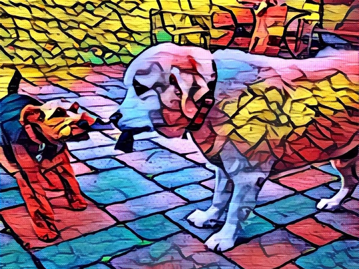 Prisma Fotoğraf Düzenleme Uygulaması Büyük İlgi Gördü 1 prisma1