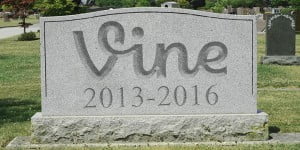 Vine Kapanma Yolunda Ne Durumda? 12 vine rip