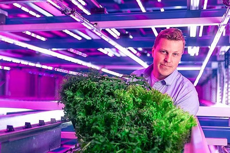 akıllı sera fujitsu