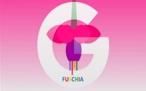 google fuchsia resim