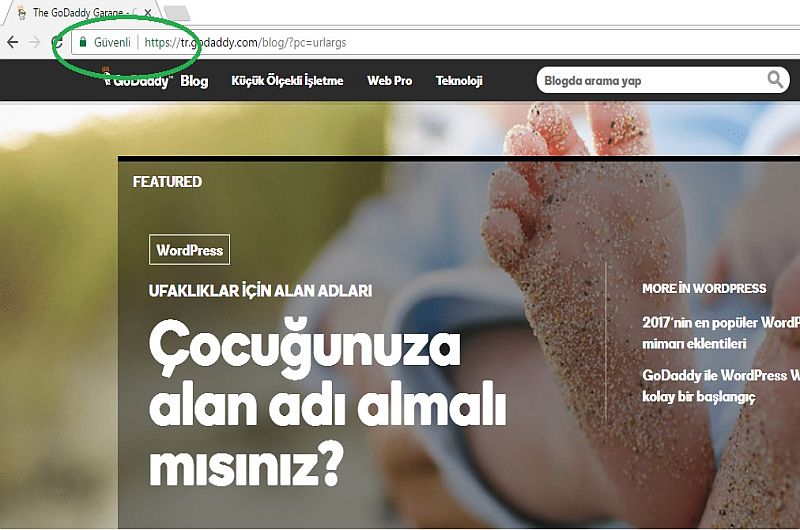 güvenli değil godaddy