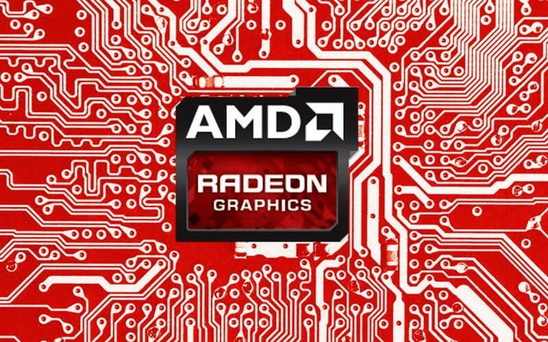 amd kar oranı