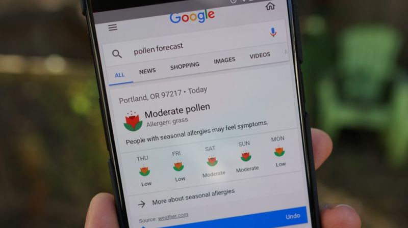 Google a Yeni Bir Özellik Daha Eklendi Polen Tahminleri