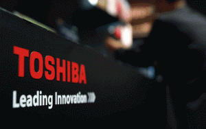 toshiba bellek