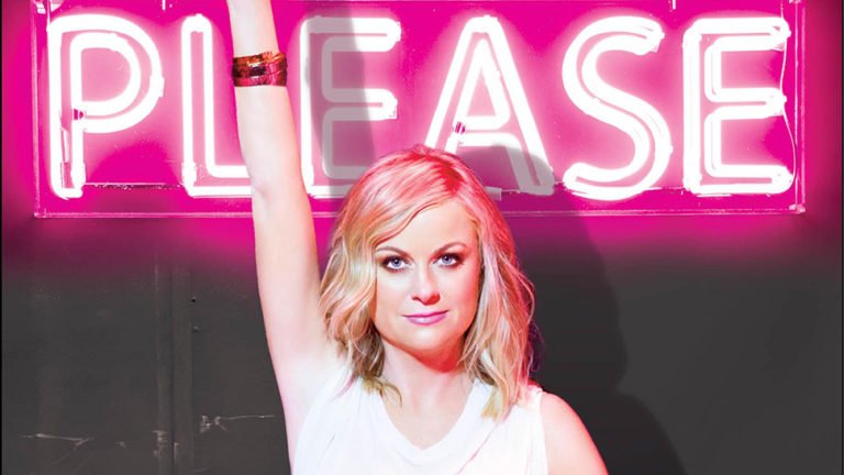 Amy Poehler Fake