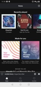 Spotify Lite 1 300x633