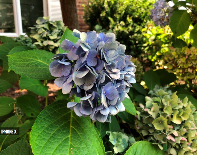 Galaxy Note 9 ve iPhone X kamera karşılaştırması 2