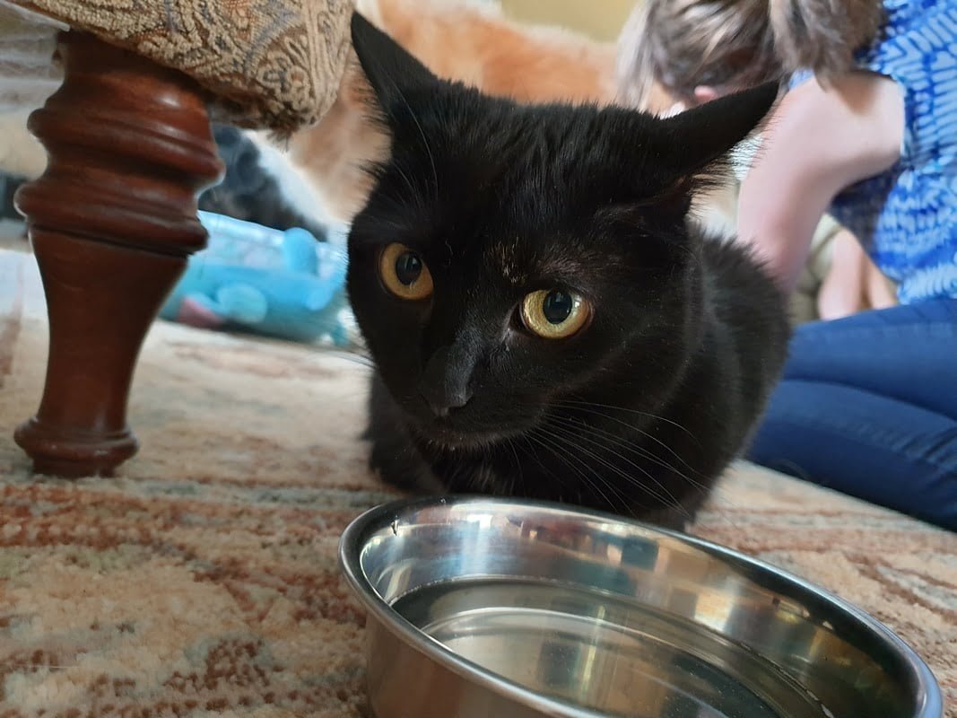 Samsung Galaxy Note 9 first camera samples 11