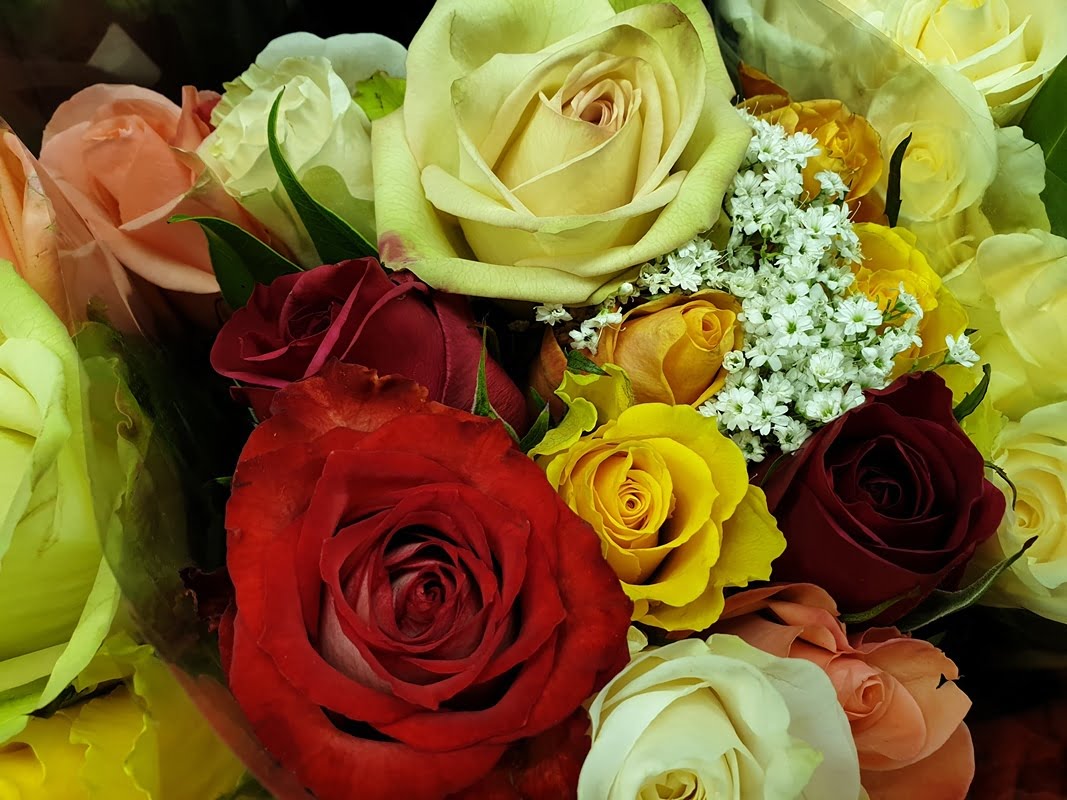 Samsung Galaxy Note 9 first camera samples 18