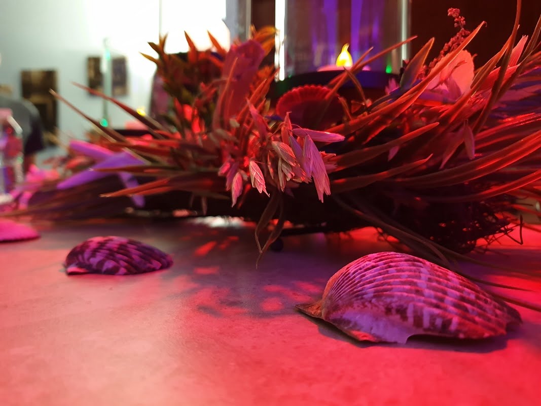 Samsung Galaxy Note 9 first camera samples 3