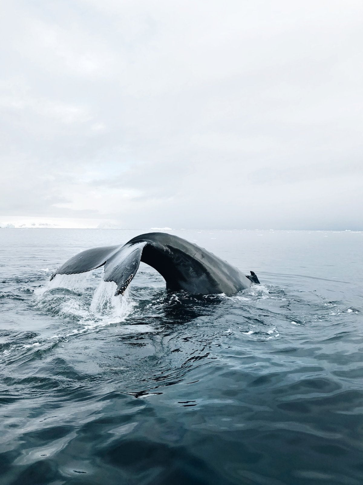 iPhone ile çekilmiş fotoğraflar 2