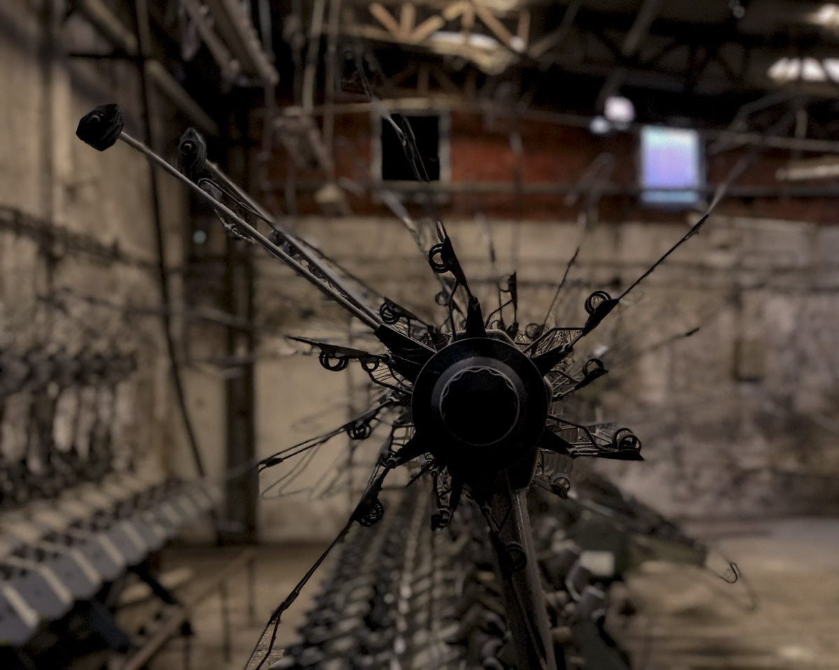 iPhone ile çekilmiş fotoğraflar 5