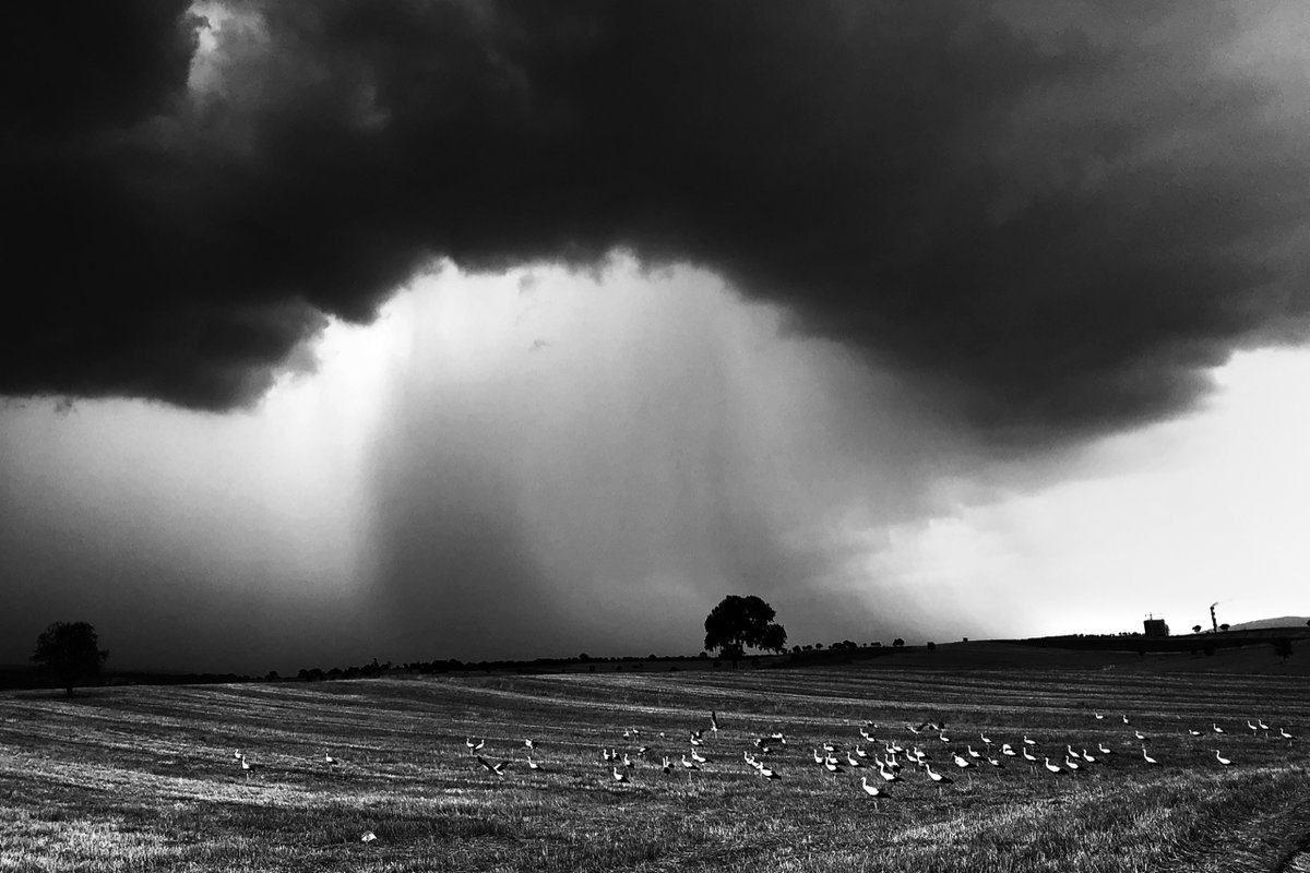 iPhone ile çekilmiş fotoğraflar 9