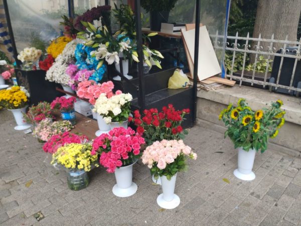 general mobile gm 9 pro 7