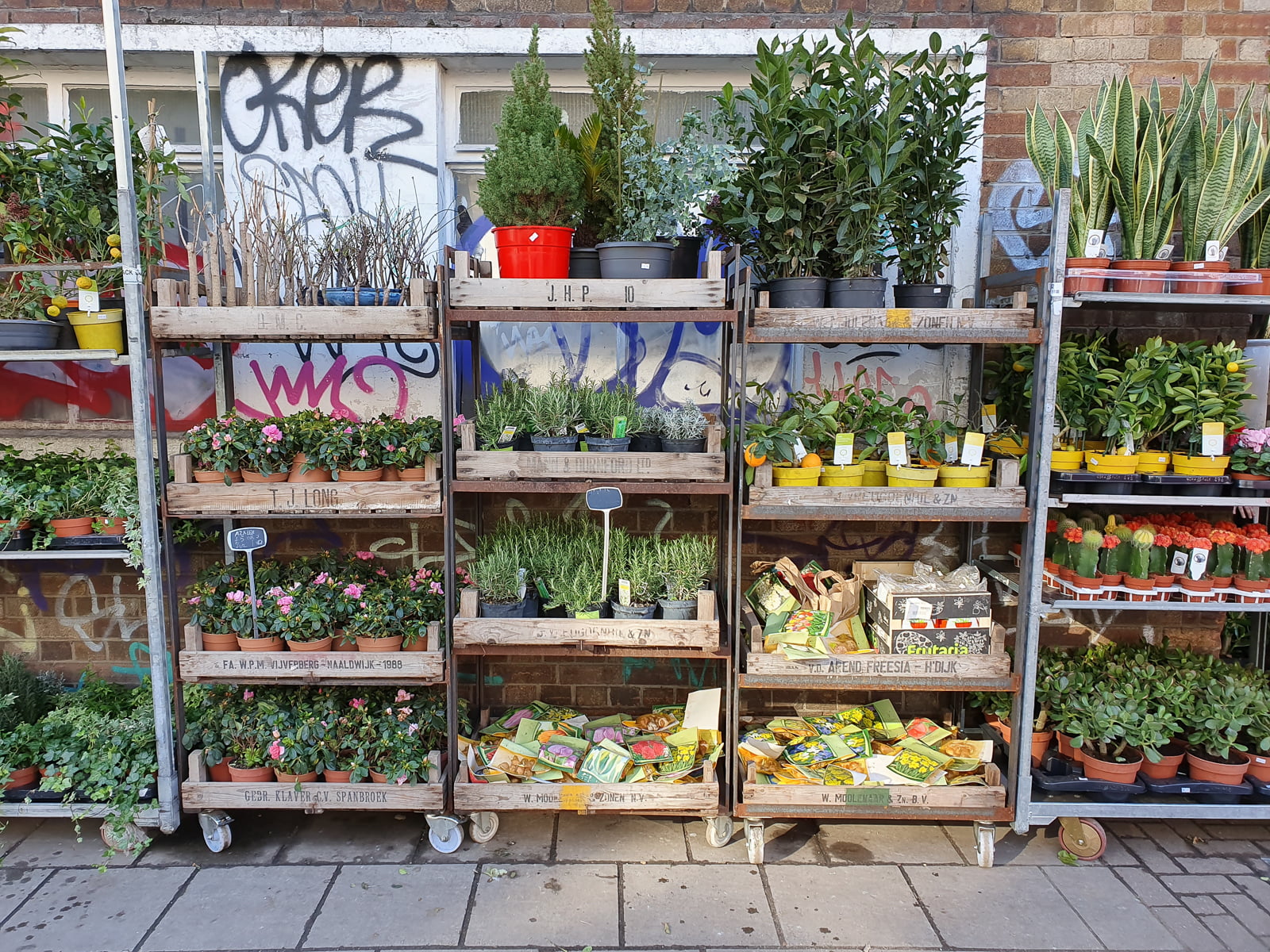 Samsung Galaxy S10 1