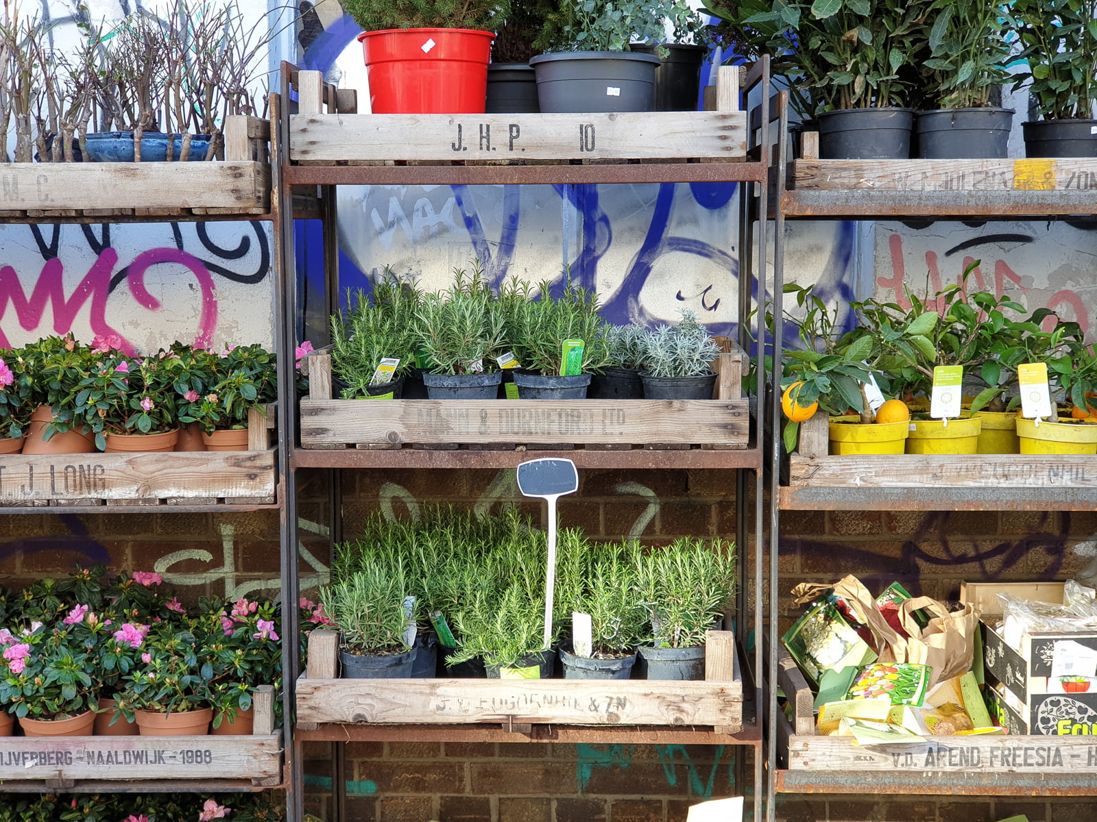 iPhone XS Max 2x zoom