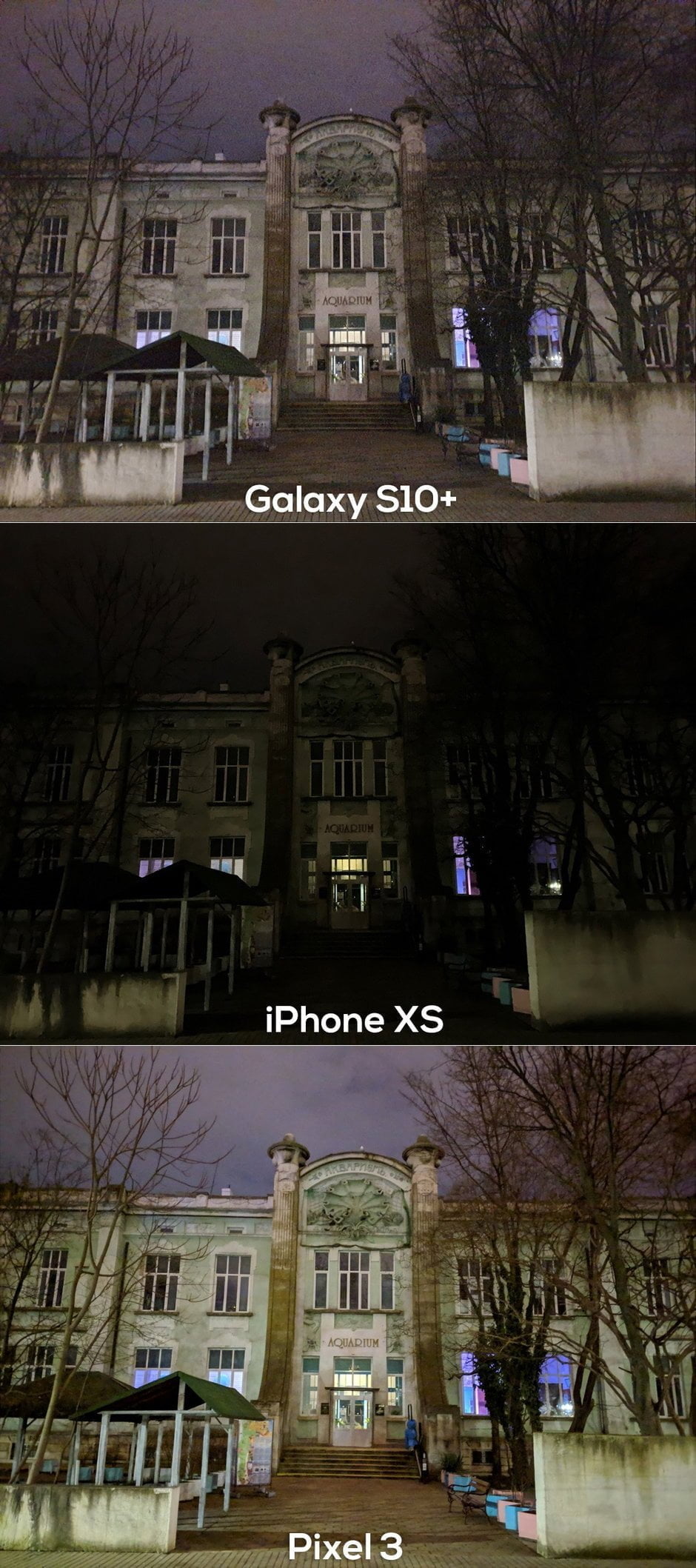 1Galaxy S10