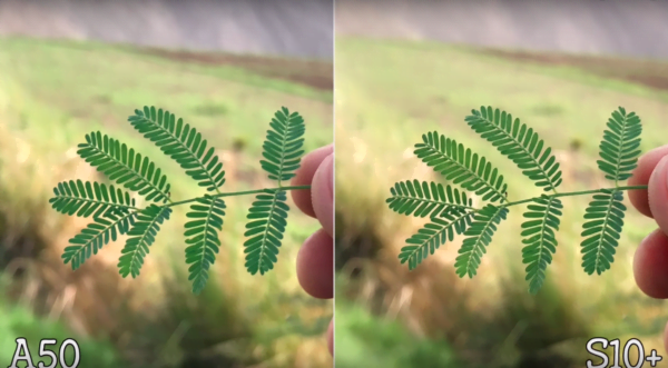 Galaxy A50 vs Galaxy S10 3