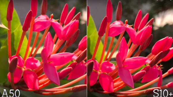 Galaxy A50 vs Galaxy S10 7