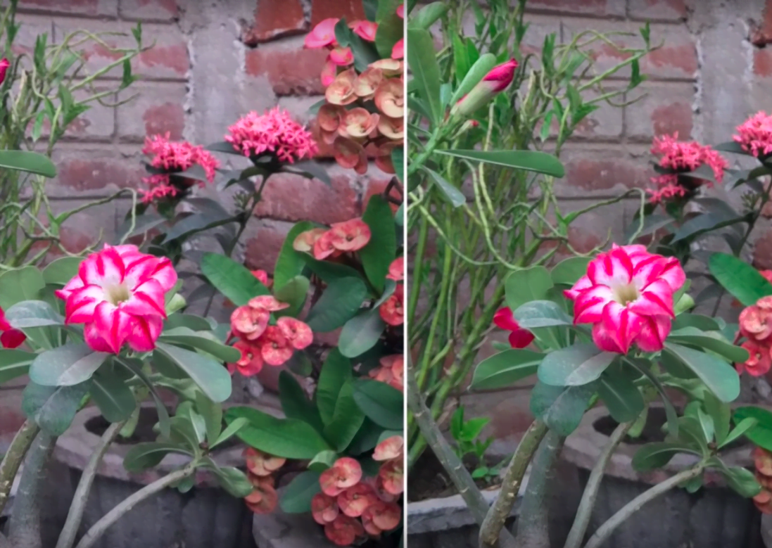 Nokia 9 Pureview ve iPhone XS kamera karşılaştırması 3