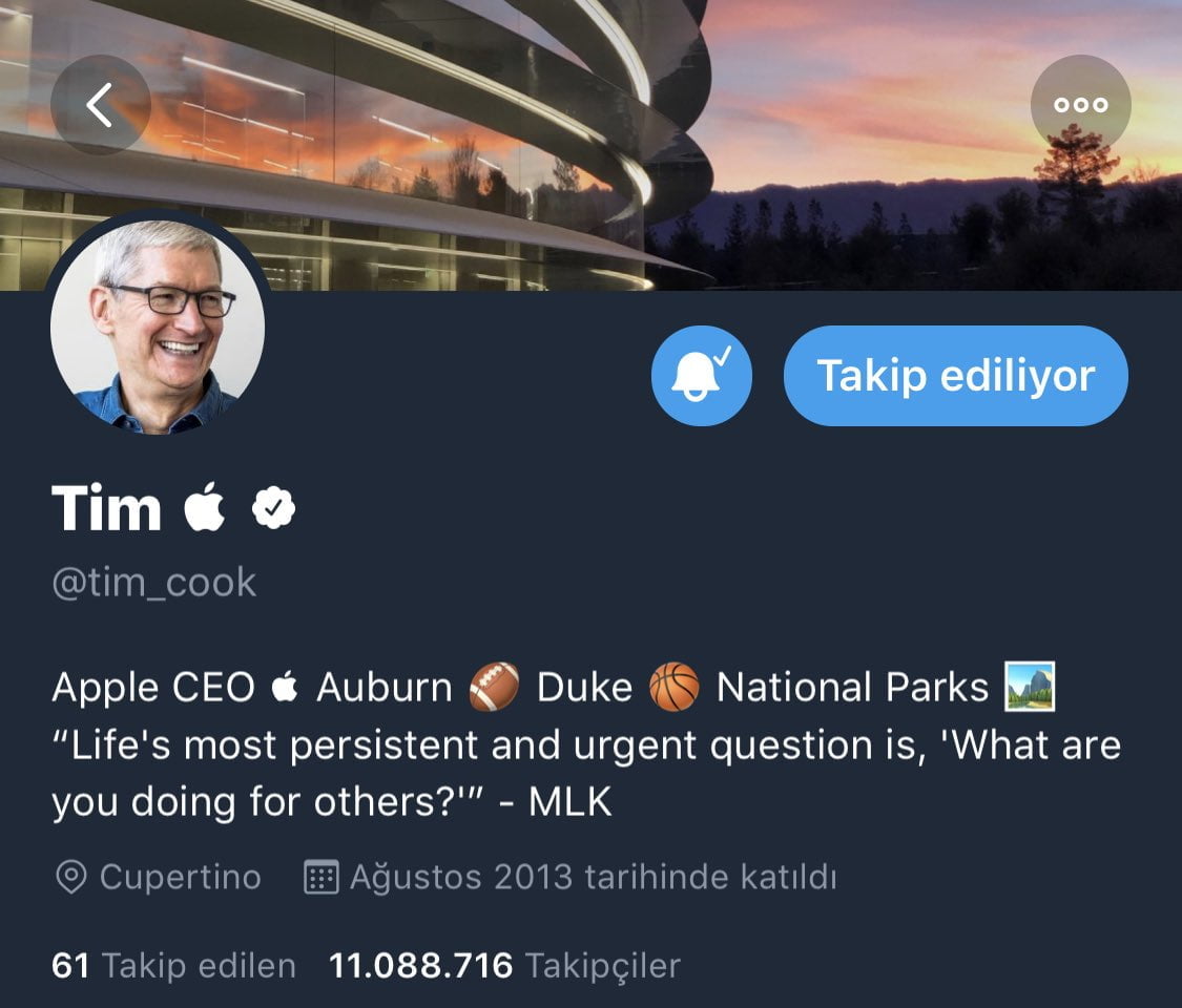 Tim cook