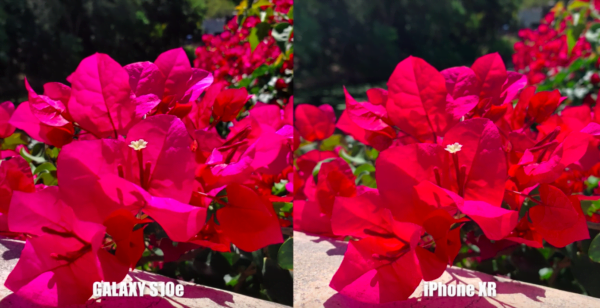 iPhone xr vs galaxy s10e 5