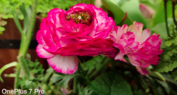 Huawei p30 pro vs oneplus 7 pro 1