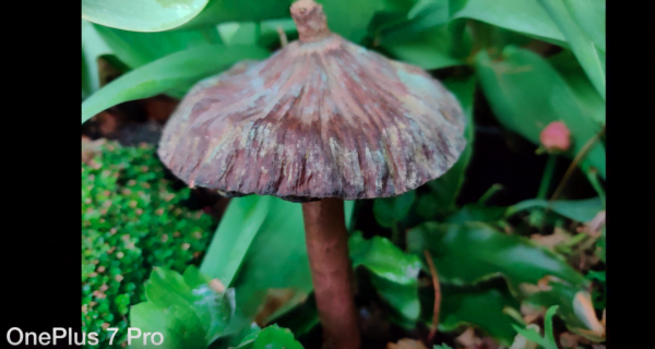 Huawei p30 pro vs oneplus 7 pro 2