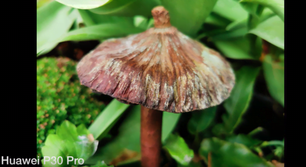 Huawei p30 pro vs oneplus 7 pro 3