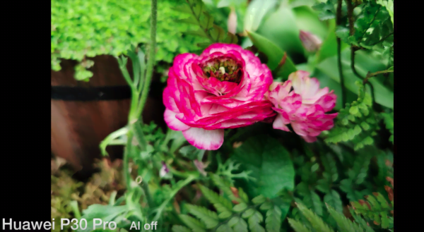 Huawei p30 pro vs oneplus 7 pro