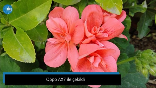 karşılaştırma oppo iphone 11