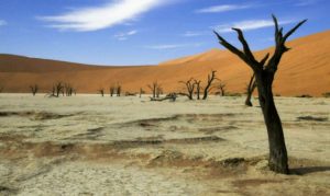 Türkiye'de su kıtlığı