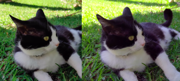 zenfone 6 vs oneplus 7 pro 1