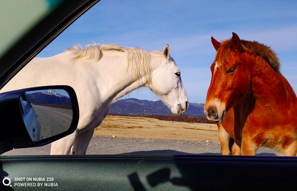 Nubia Z20 tanıtım tarihi ortaya çıktı 5 Ekran Resmi 2019 07 25 11.10.25