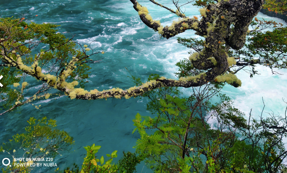 Nubia Z20 tanıtım tarihi ortaya çıktı 3 Ekran Resmi 2019 07 25 11.11.01